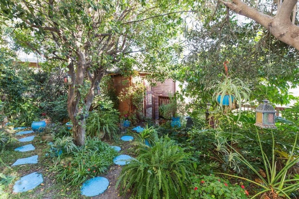 Havaya Ba Nof Lodge Rosh Pinna Esterno foto